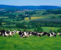 /album/a%c4%9fri-da%c4%9finin-en-guzel-resimleri/images-20-jpg3/